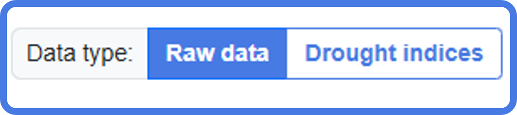 Screenshot of data type radio buttons.